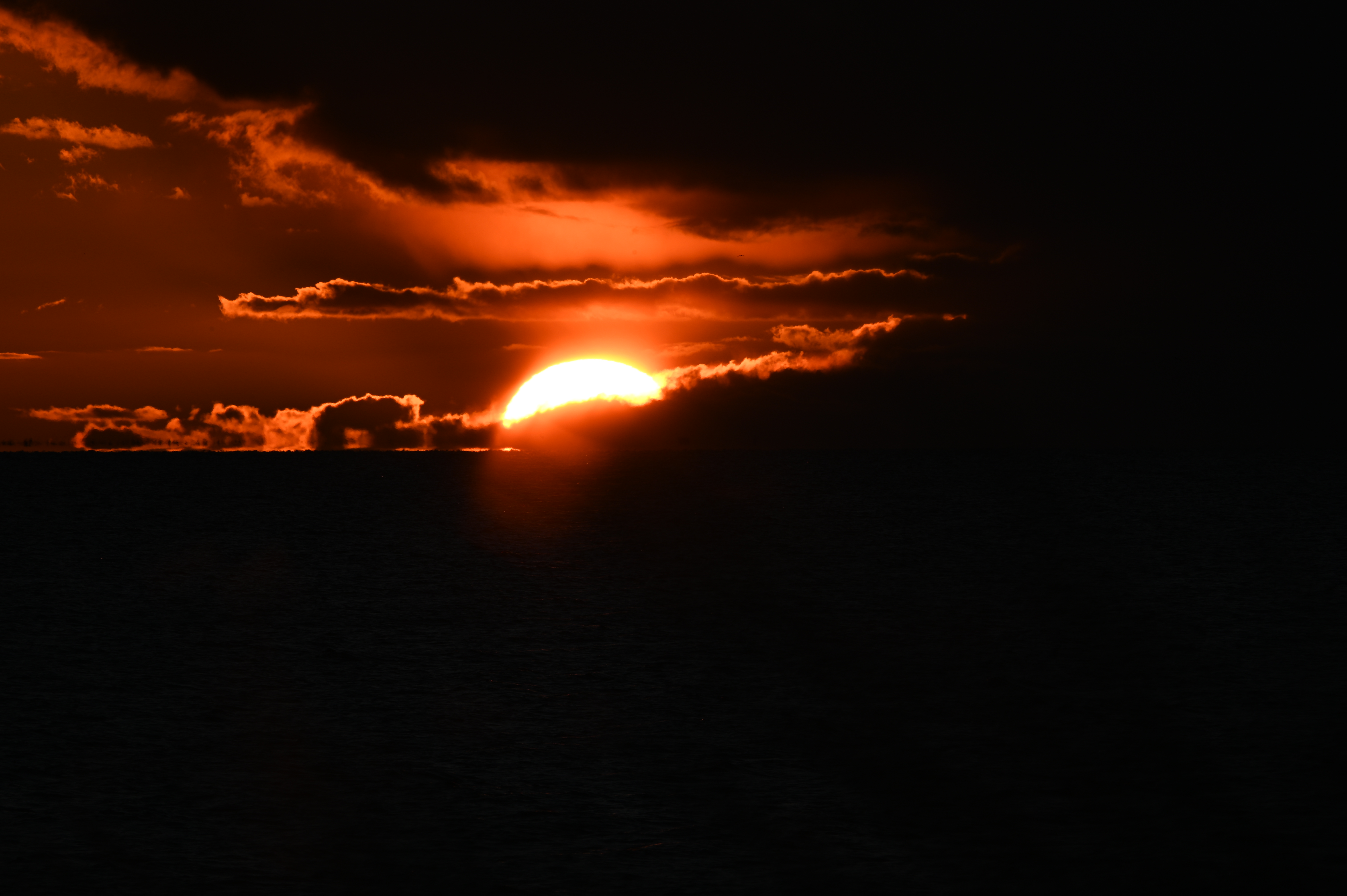 2025/10/18 - walk/DSC_0485.JPG